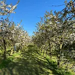 Penzion Hessboegel 4*