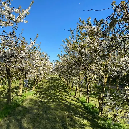 Vendégház Hessboegel 3*