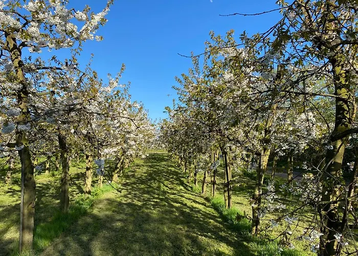 Gasthuis Hessboegel 4*